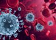 Filling and Closing Machnines Corona Virus (COVID-19) - Current Information