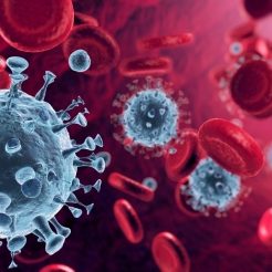 Filling and Closing Machnines Corona Virus (COVID-19) – Current Information Filling and Closing Machnines Corona Virus (COVID-19) - Current Information